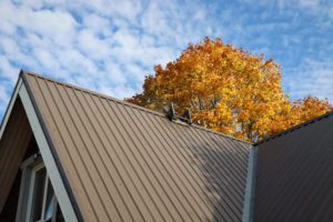 View of home's metal roof in autumn