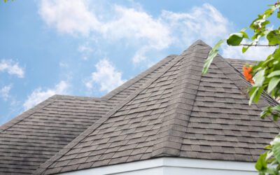 Keeping Your Roof Strong: Why Local Expertise Matters